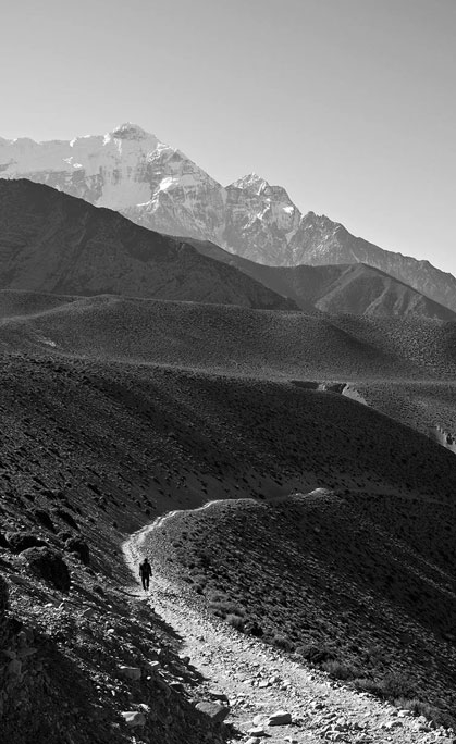 تصویر 2